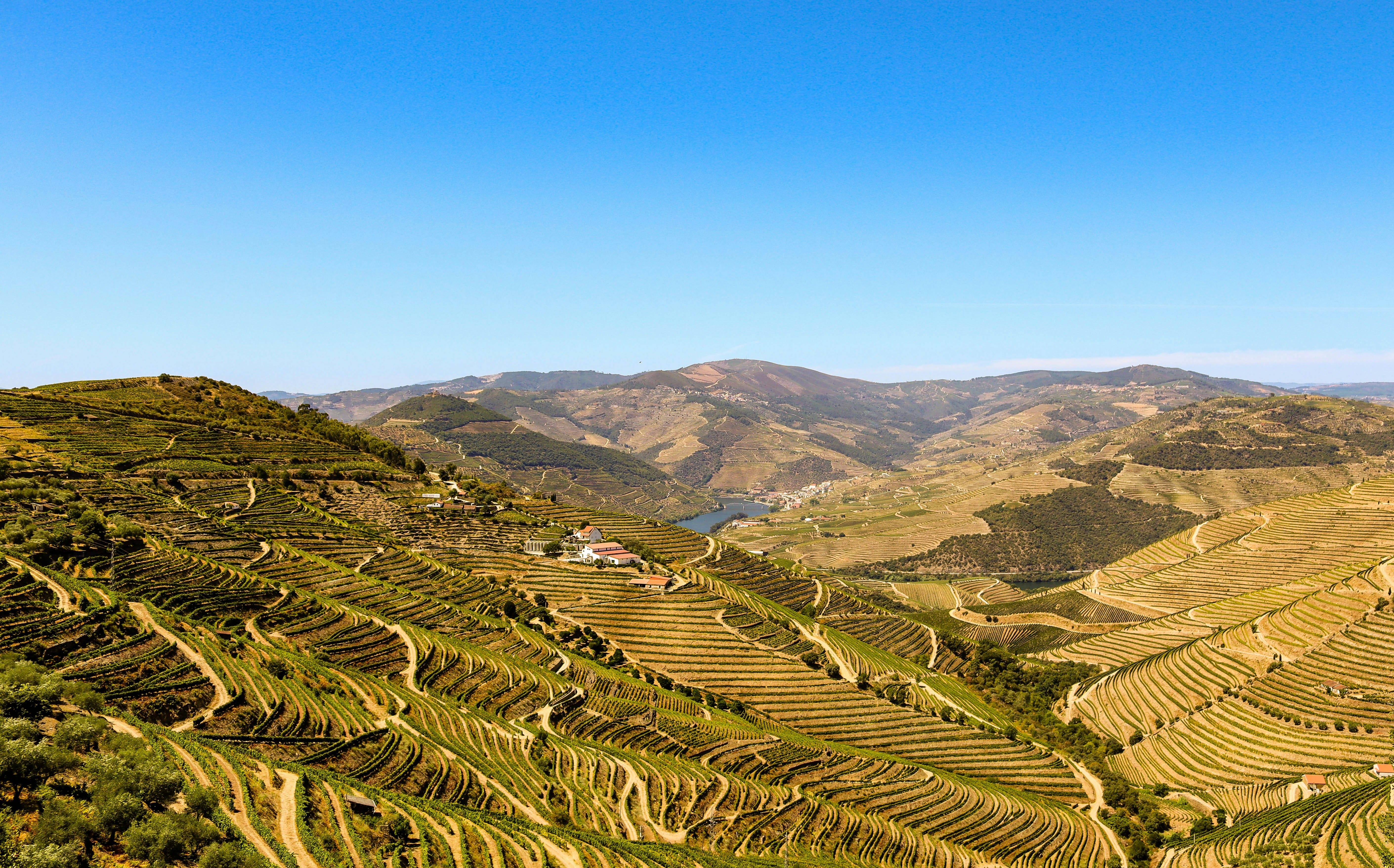 Vista aérea do Vale do Douro com vinhas e rio serpenteante