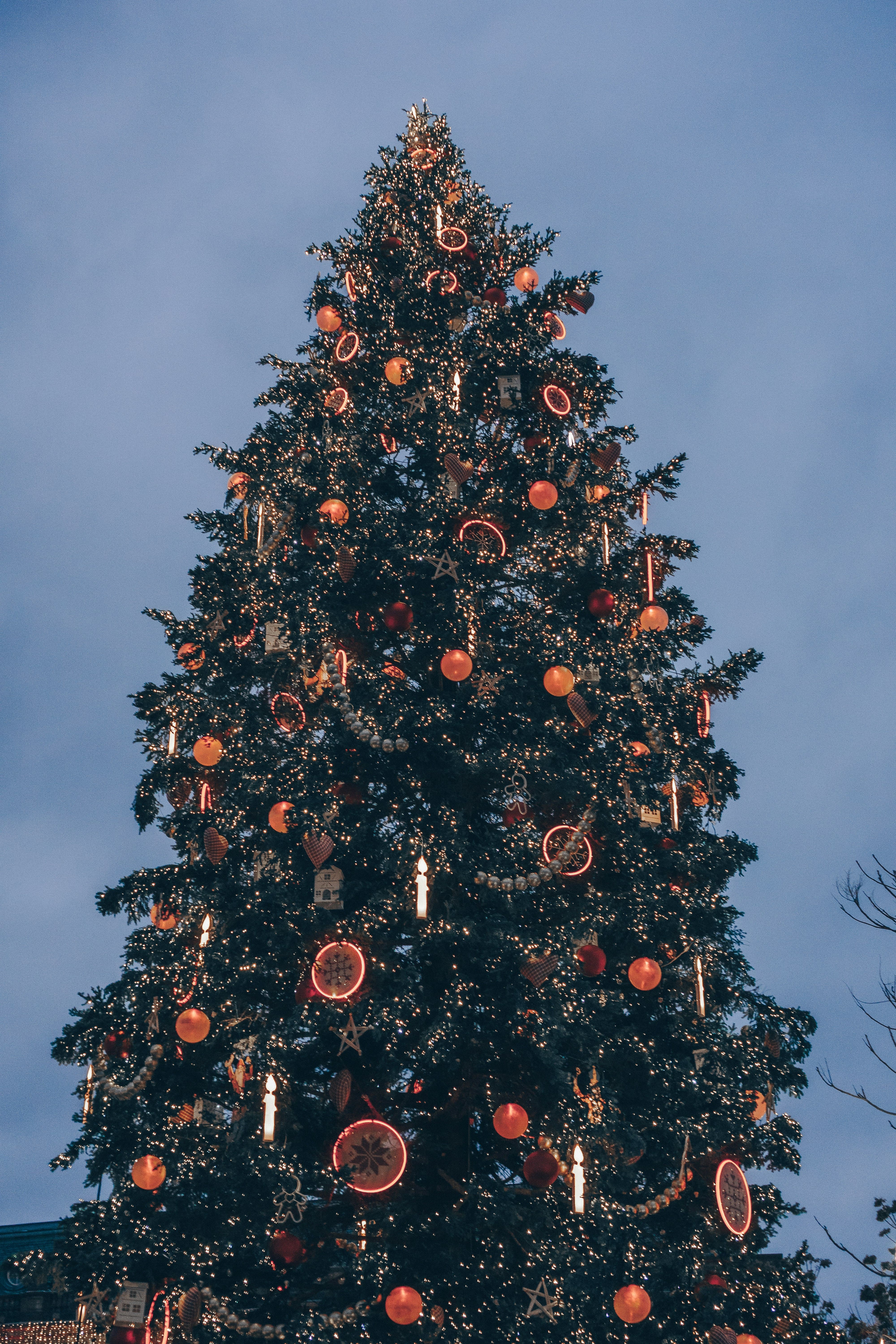 Árvore de Natal gigante de Estrasburgo na Place Kléber, iluminada e rodeada por multidões festivas.
