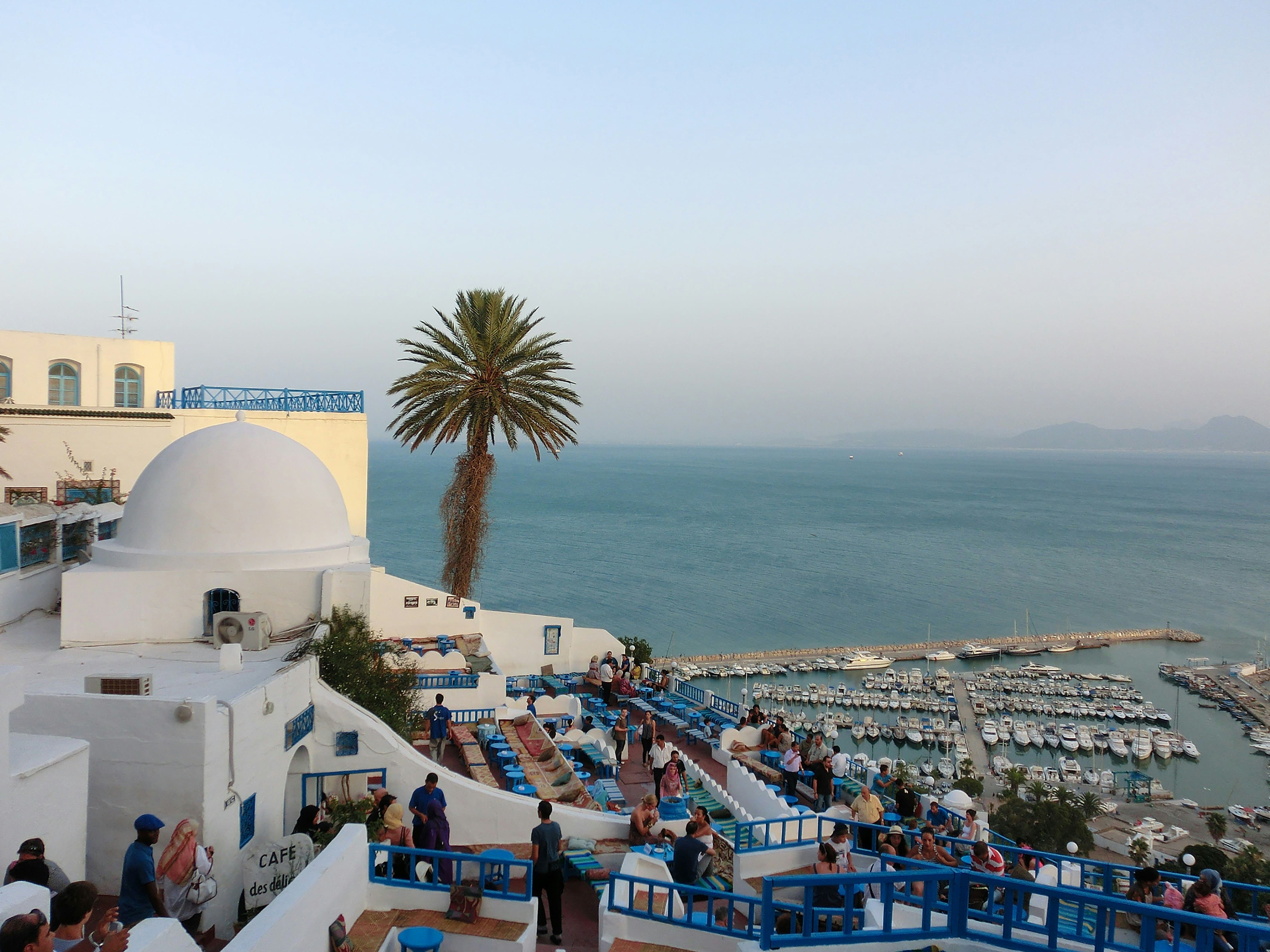 Skyline view of Tunis with ancient and modern buildings
